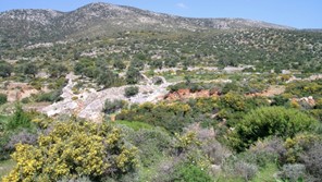 Αλλάζει το δόγμα "για πάντα δάσος"